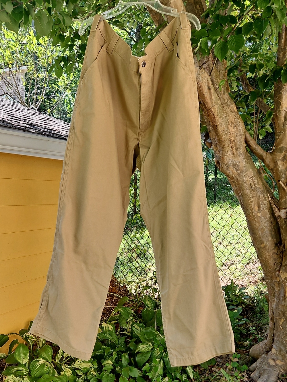 Carhartt Men's Pants